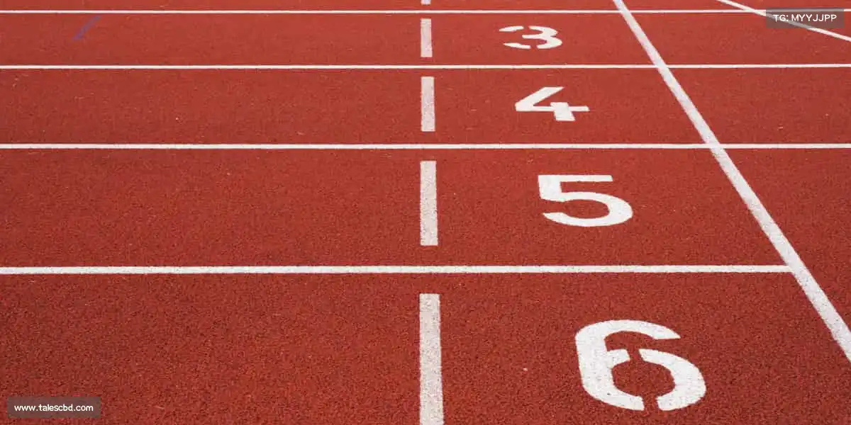 tvt体育🤼♂️穿上装备,踏上赛场 —— 此刻,你就是焦点!